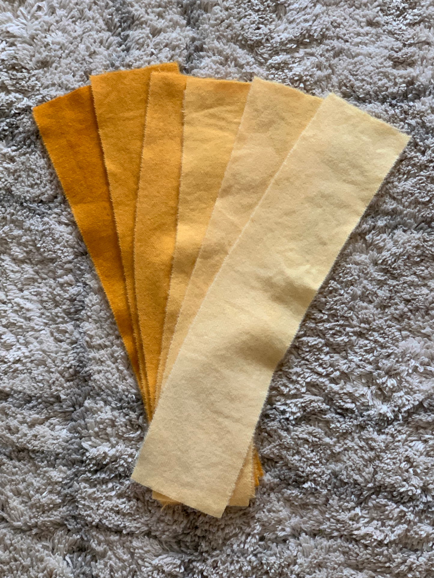 Golden Yellow 6 Value Swatches Studio Dyed Wool